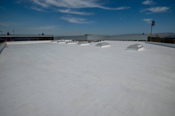 Best Green or Eco-Friendly Roofing Solutions  in Superior, WI